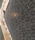canopy