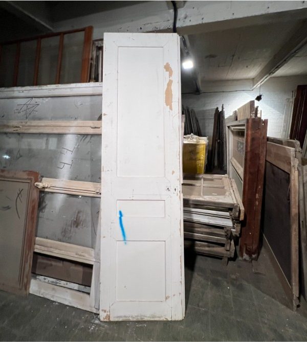 Cupboard door 69×250 cm