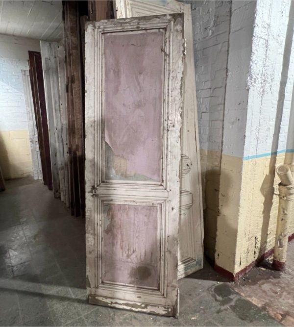 Cupboard door 76×227 cm