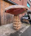 Champignon side
