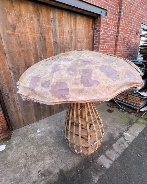 Top mushroom