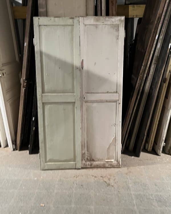 Double porte de placard 98×174 cm