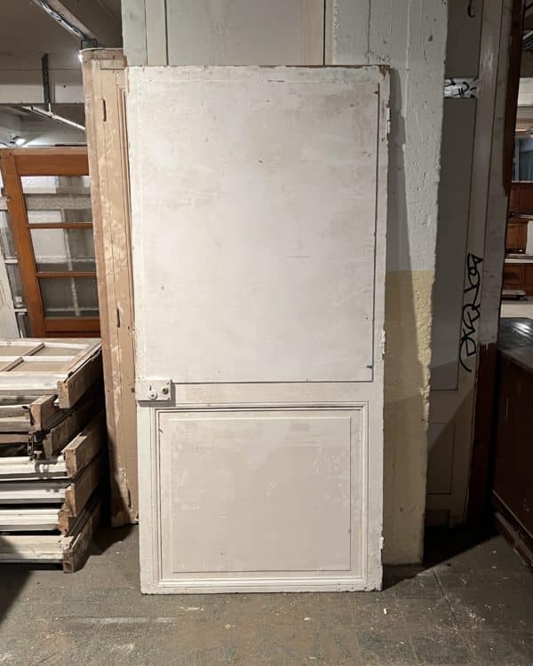 Cupboard door 101.5×215 cm