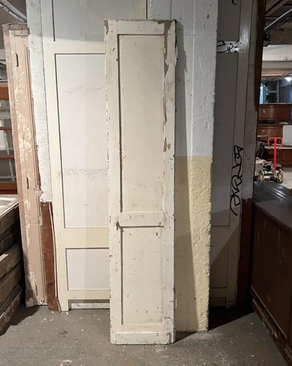 Porte de placard 46,5×222,5 cm