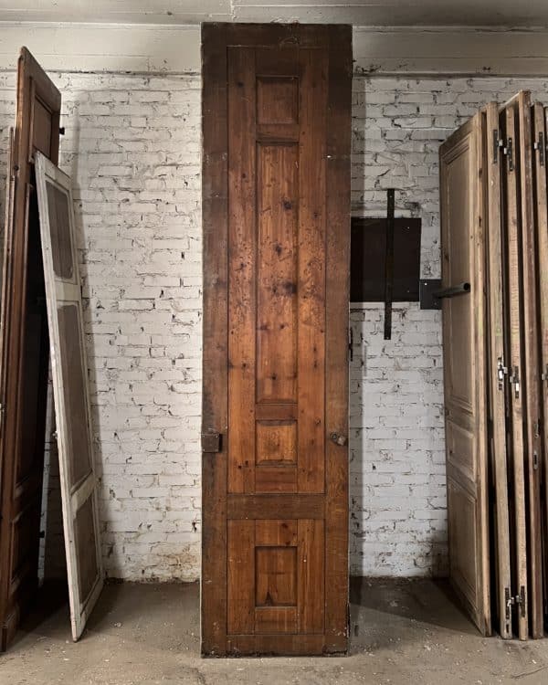 Cupboard door 72×301 cm