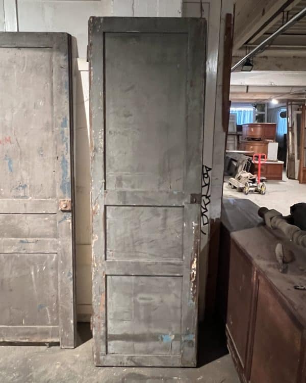 Cupboard door 74×233 cm