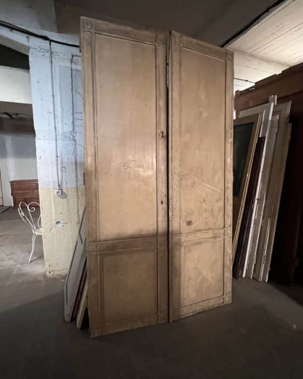 Double cupboard door 151×267 cm
