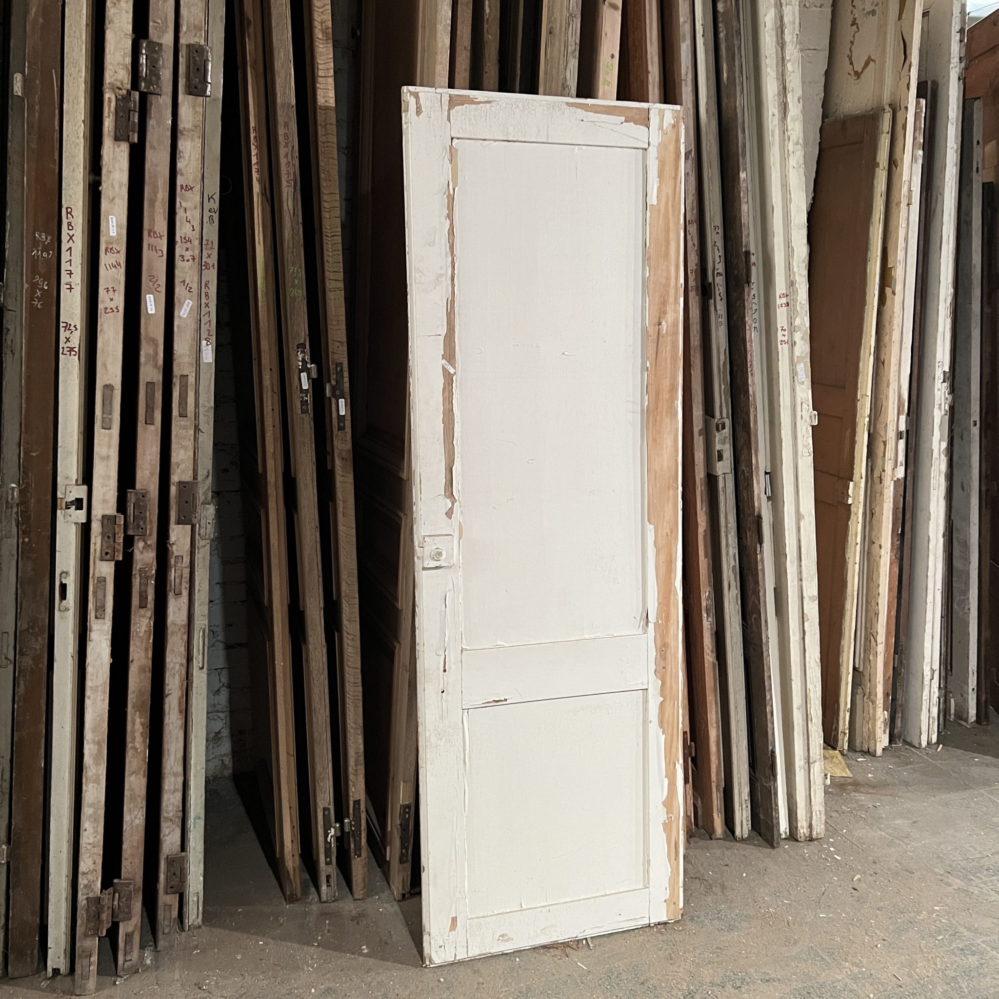 Cupboard door 67×199 cm