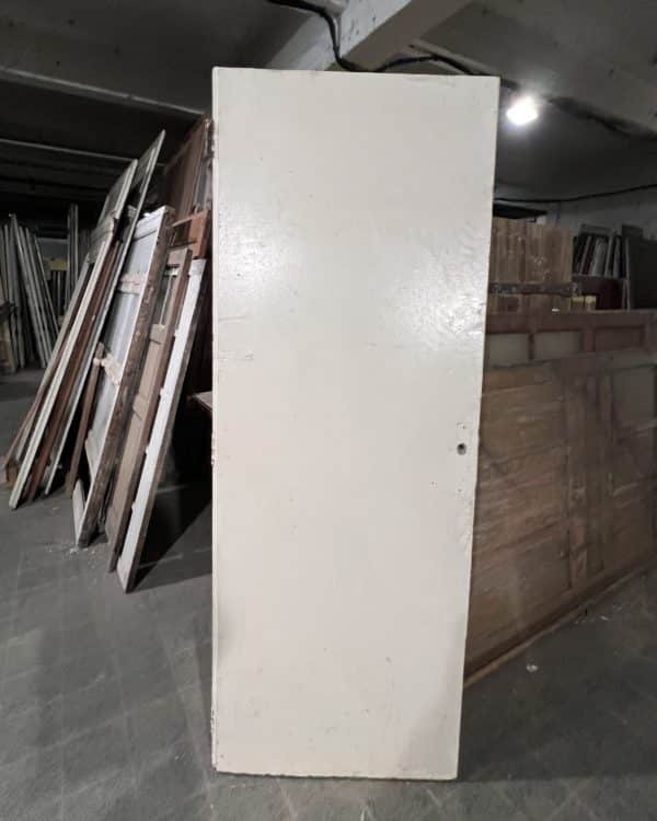 Cupboard door 80×215 cm
