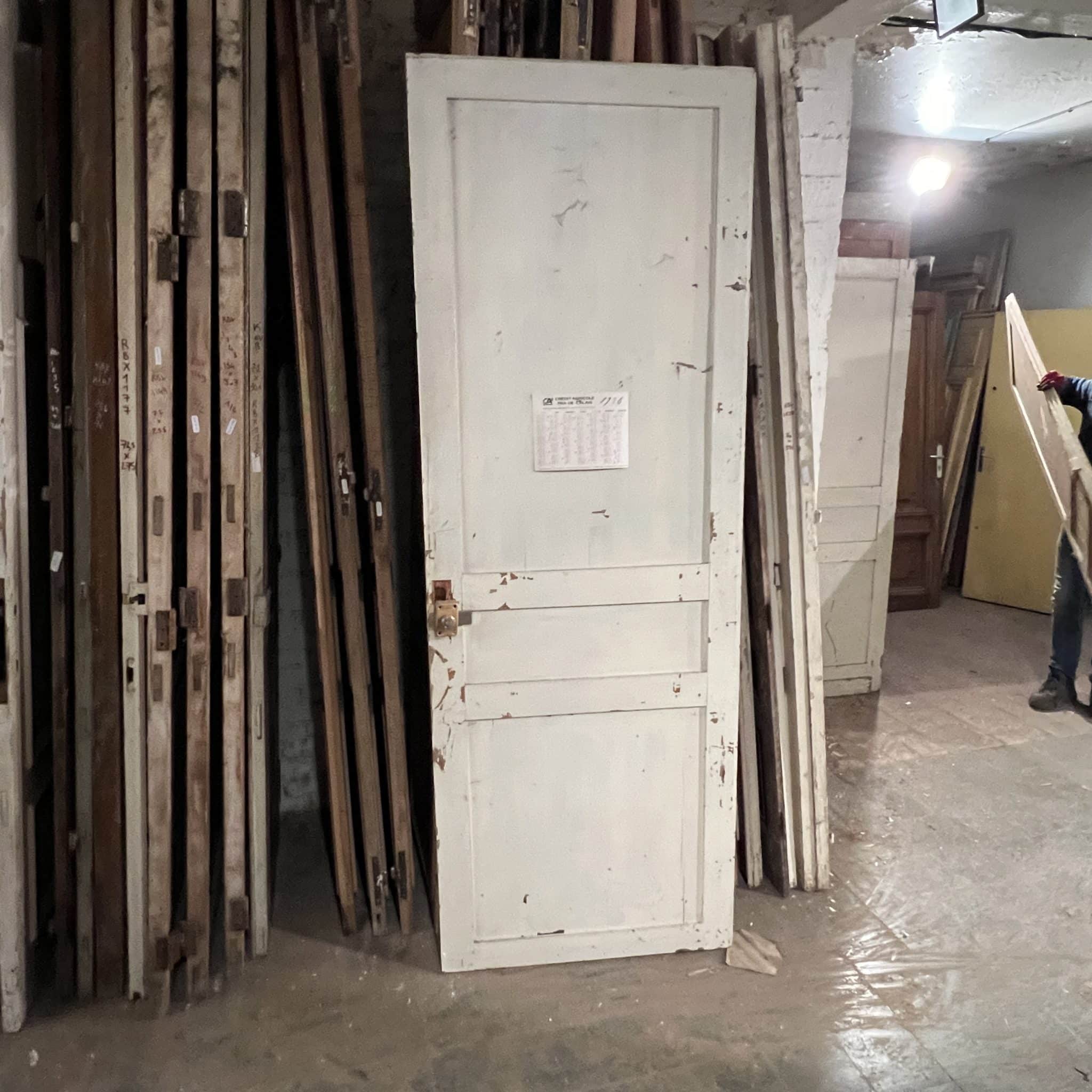 IMG_2993 | Matériaux Authentiques Porte de placard 83×235 cm