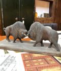 combat de bisons side