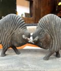 combat de bisons zoom