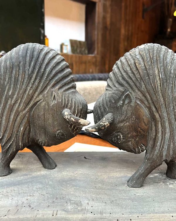 buffalo fight zoom