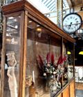 vitrine de présentation top
