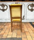 Chair fabric velvet back