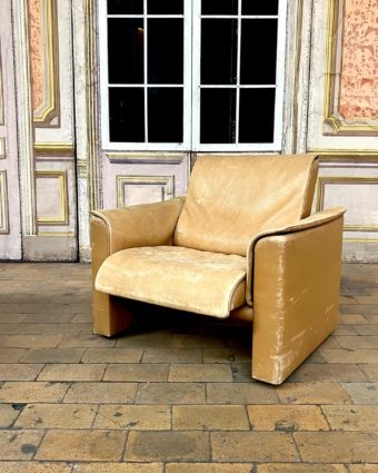 Fauteuil de salon De Sede