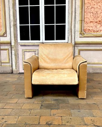 Fauteuil de salon De Sede front