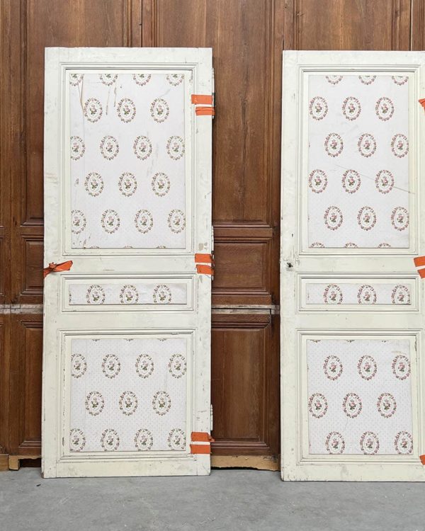 Porte de placard 83x231 cm