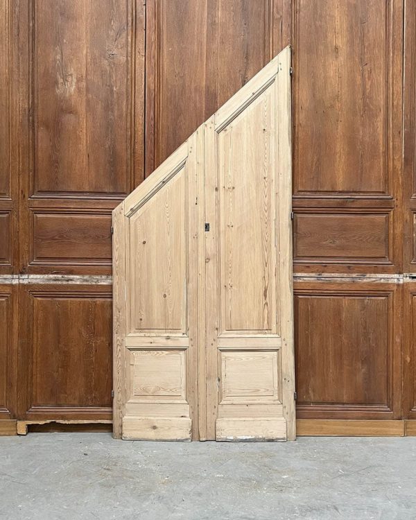Double door under stairs