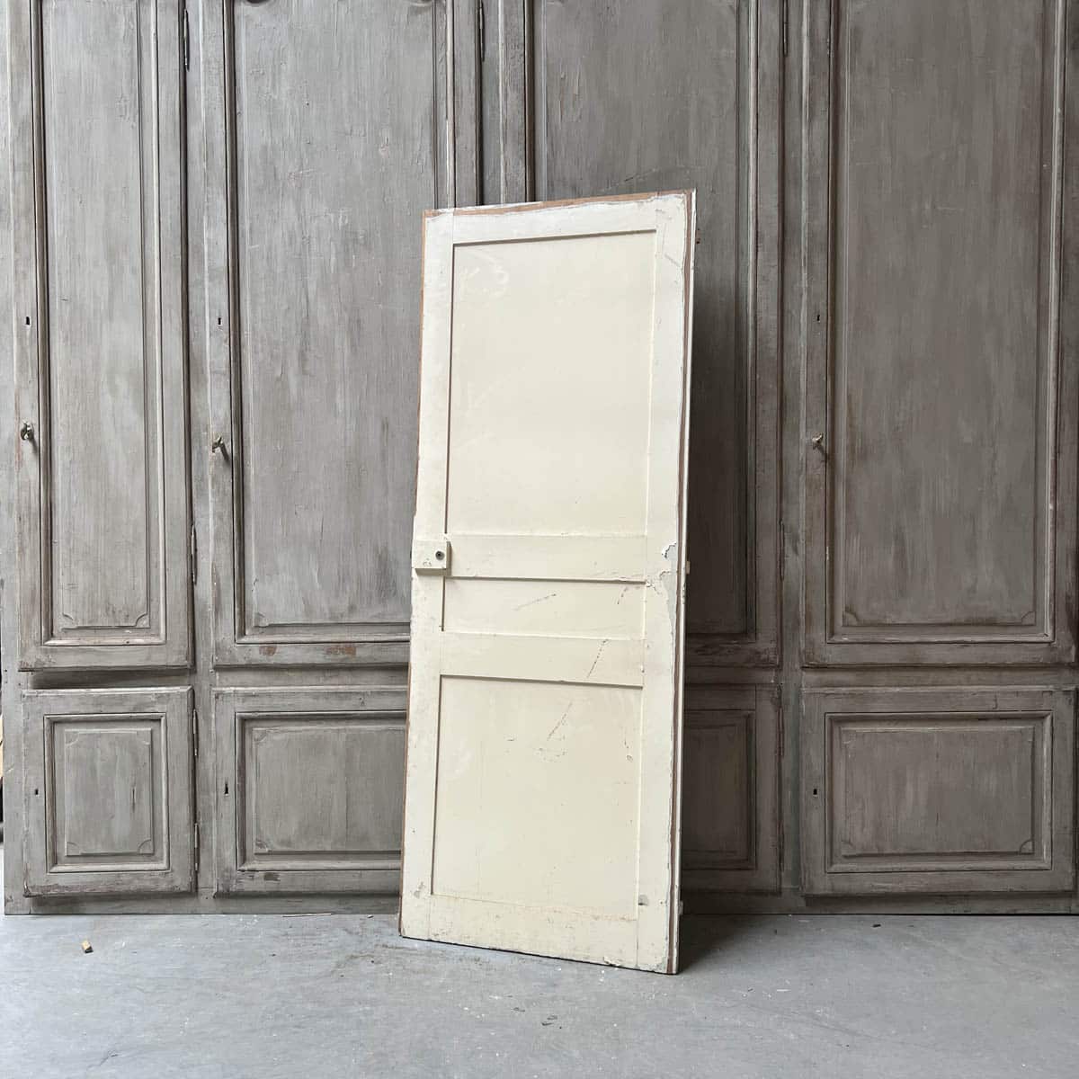 IMG_6174 | Authentic Materials Cupboard door 82.5x215cm