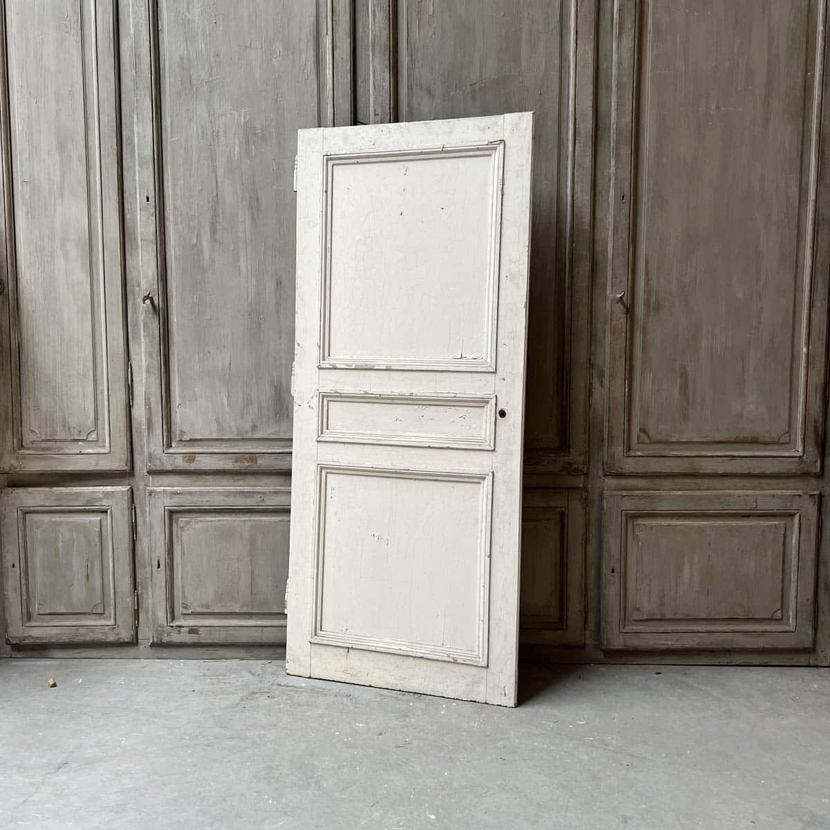 Porte de placard 90x206 cm