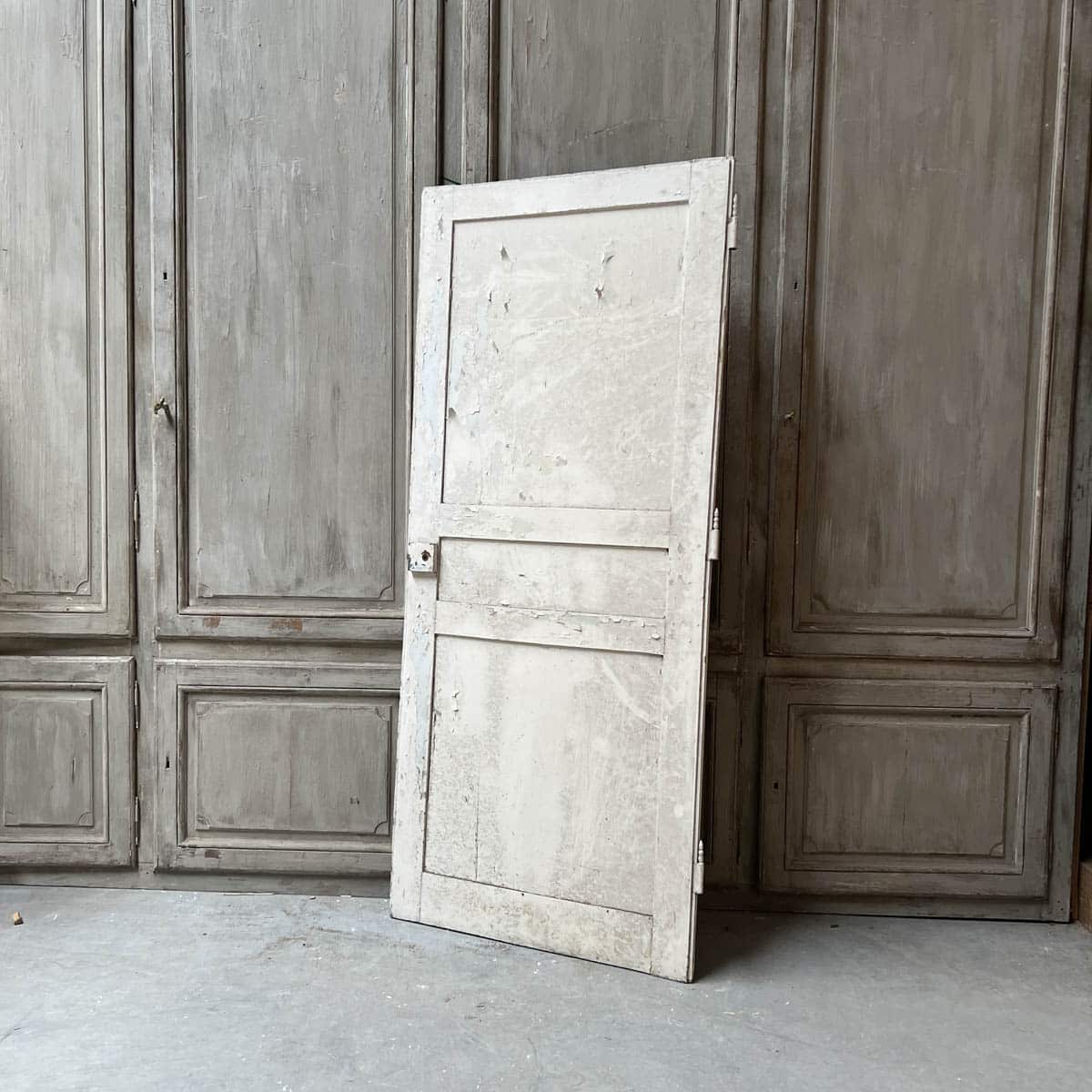 IMG_6176 | Matériaux Authentiques Porte de placard 90x206 cm