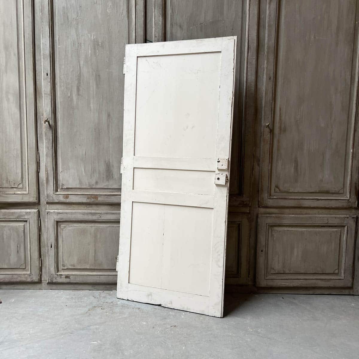 IMG_6178 | Authentic Materials Cupboard door 90x205cm