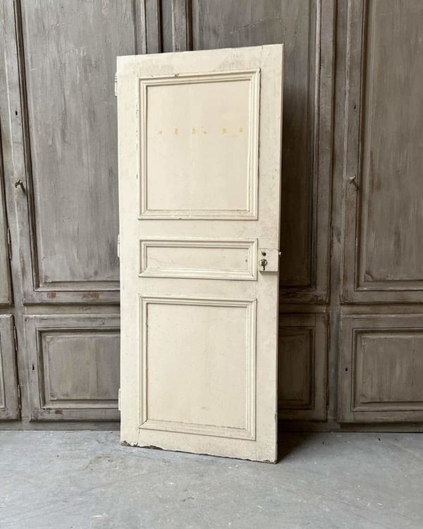 Closet door 86.5x210cm
