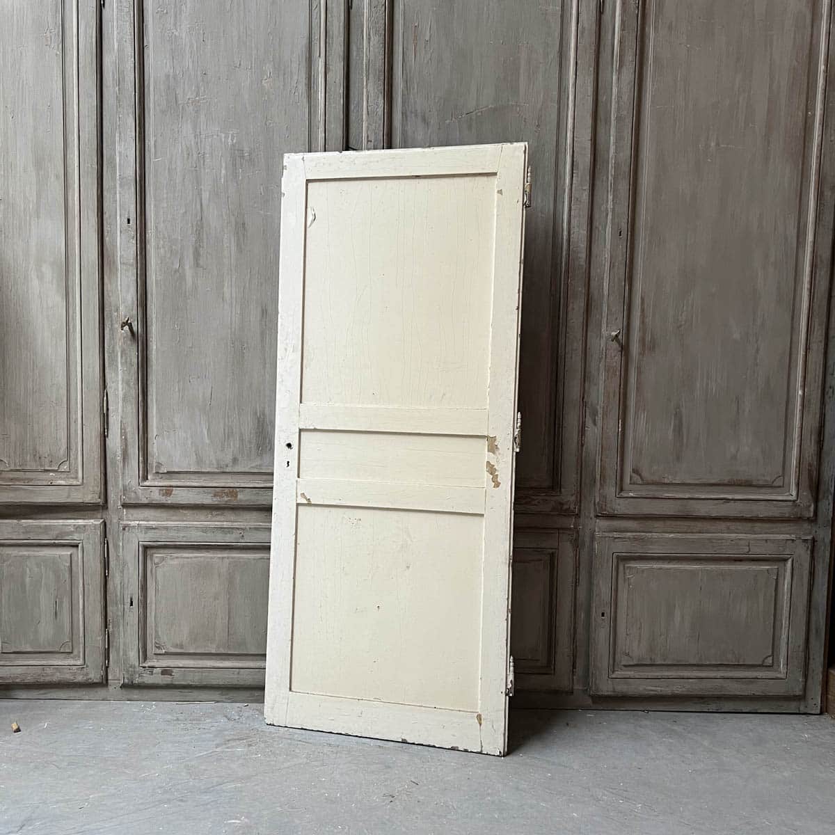 IMG_6188 | Matériaux Authentiques Porte de placard 88,5x208cm