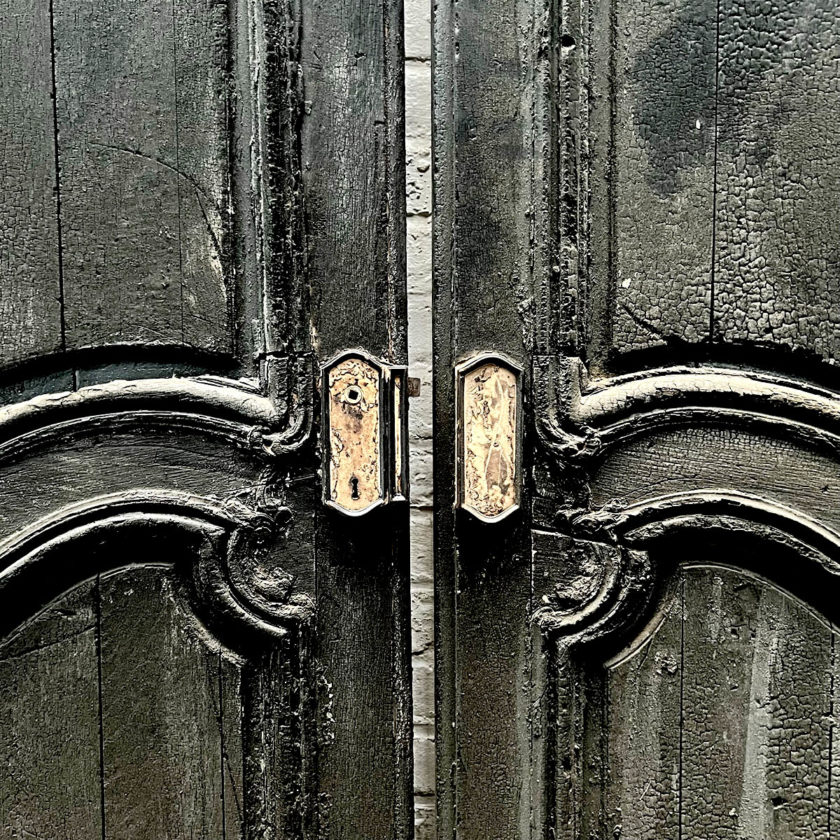 Double louis xv oak door, one side burnt wood details