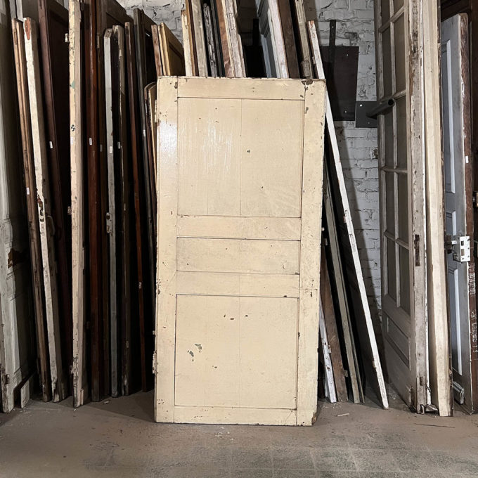 Antique cupboard door 895x188 back