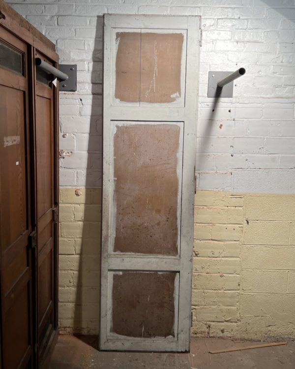 Cupboard door 69x245 cm