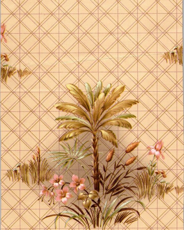 Papier peint ancien 108m²