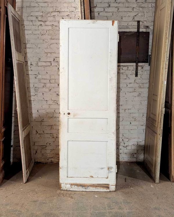 Antique cupboard door 73x221 back