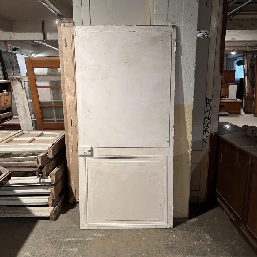 Cupboard door 101.5x215 cm