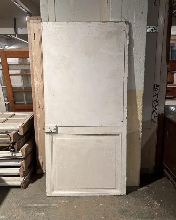 Cupboard door 101.5x215 cm
