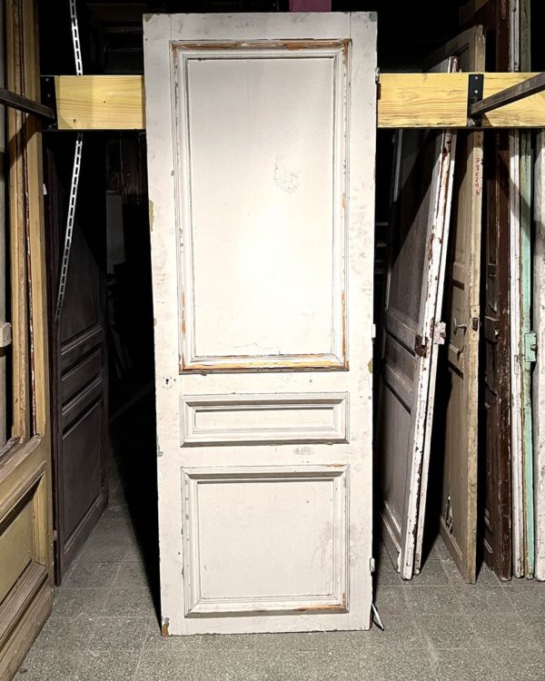 Closet door 77x217 cm