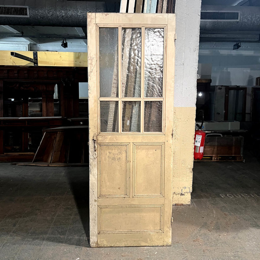 Glass door 80x223 cm
