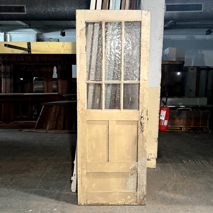 Glass door 80x223 cm