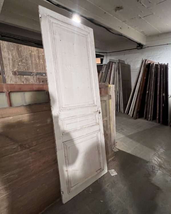 Cupboard door 83x235 cm