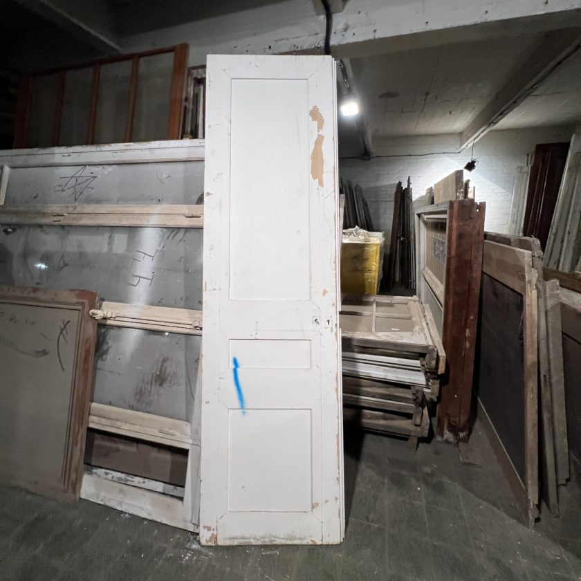 Cupboard door 69x250 cm
