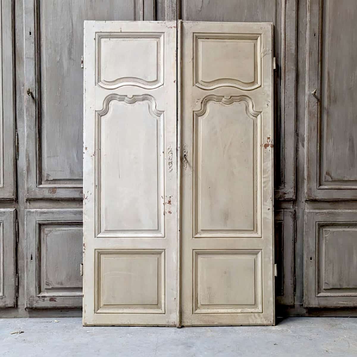 Double porte de placard 119x190 cm