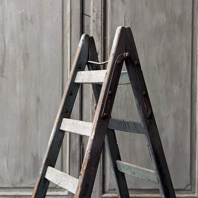 Antique step ladder in pitchpin top