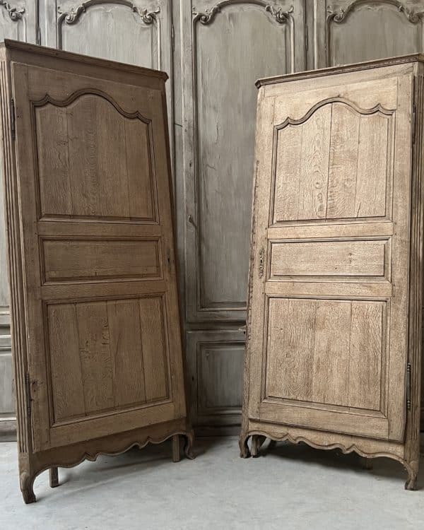 Pair of cupboard doors with frame