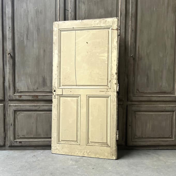 Single cupboard door 87x194 cm