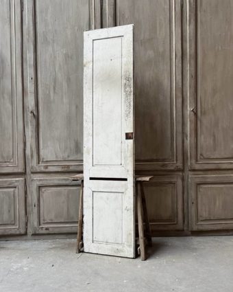 Porte de placard 53x224cm