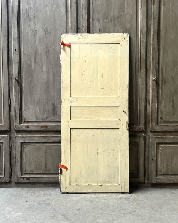 Single cupboard door 87x204 cm back