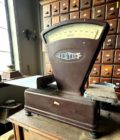 Old Testut scale