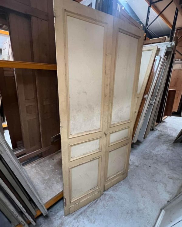 Double porte de placard 121x230 cm
