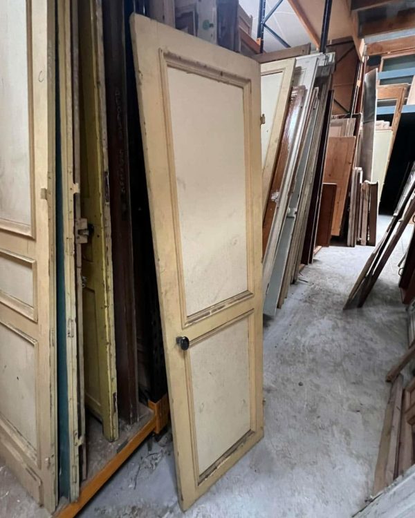Porte de placard 60x197 cm